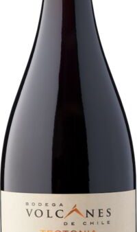 Bodega Volcanes de Chile PINOT NOIR TECTONIA 2018 Discount