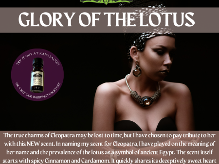 Glory of the Lotus Hot on Sale