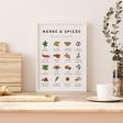 Herbs & Spices Poster For Sale