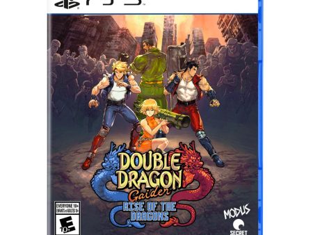 Double Dragon Gaiden Rise of the Dragons - PlayStation 5 For Sale