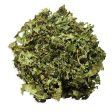 Lemon Balm (Melissa) Cheap