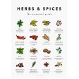 Herbs & Spices Poster For Sale