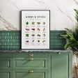 Herbs & Spices Poster For Sale