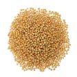 Organic Yellow Mustard Seeds Sale