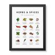 Herbs & Spices Poster For Sale