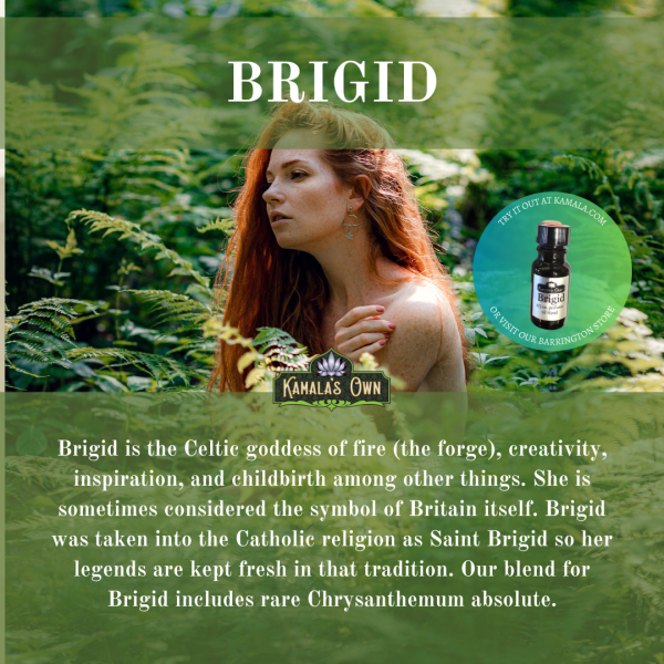 Brigid Cheap