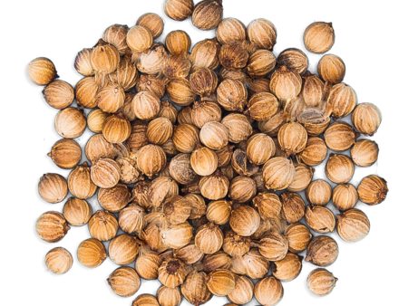 Organic Coriander Seeds For Discount