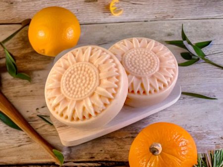 Honey and Grace Rice Protein Citrus- Sulfate- Free Shampoo Bar  4 oz Fashion