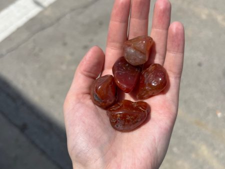 Carnelian Tumble Supply