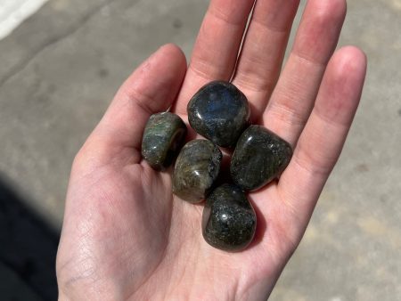 Labradorite Tumble Supply