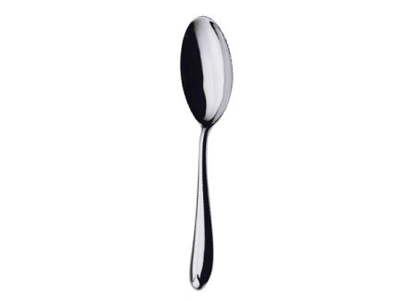 Venezia Serving Spoon Online Sale