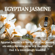 Egyptian Jasmine Online Hot Sale