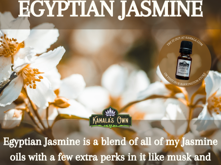 Egyptian Jasmine Online Hot Sale